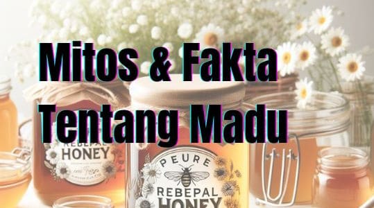 Mitos & Fakta Tentang Madu